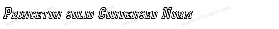 Princeton solid Condensed Normal字体转换